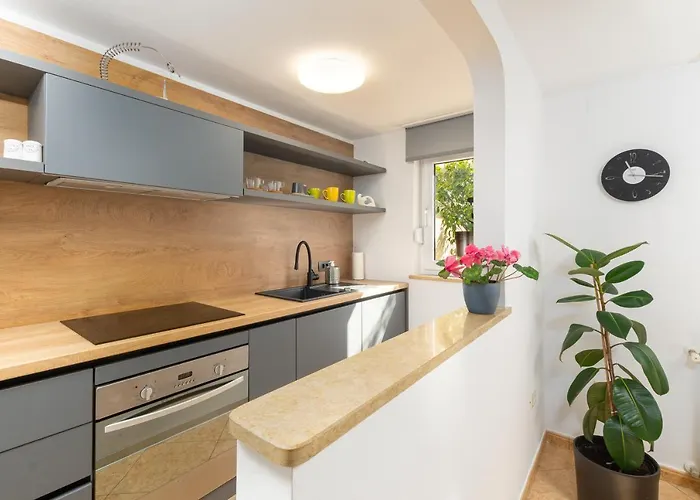 Dragonja * Πούλα